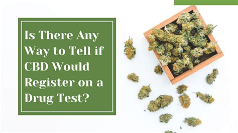 cbd drops for anxiety drug test|cannabidiol and cbd drug test.